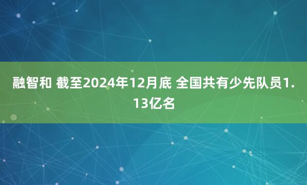 融智和 截至2024年12月底 全国共有少先队员1.13亿名