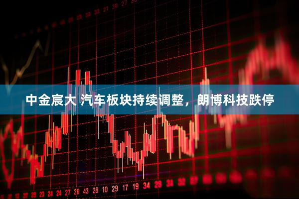 中金宸大 汽车板块持续调整，朗博科技跌停